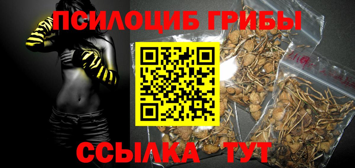 Галлюциногенные грибы MAGIC MUSHROOMS  Галлюциногенные грибы Cubensis  Вход с VPN  купить наркотик  Качканар 